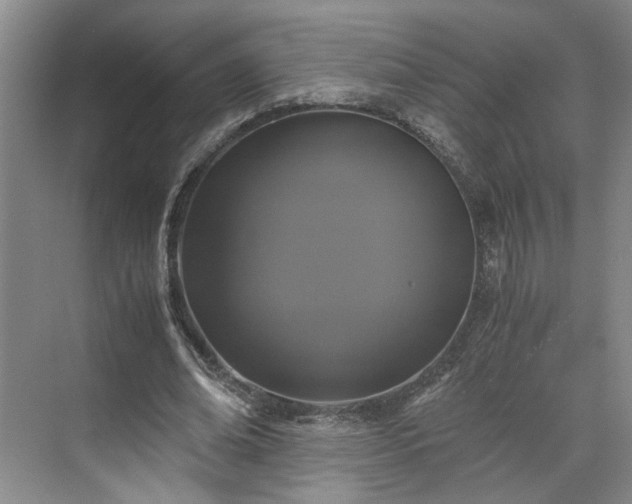 X0000071790678200607071456