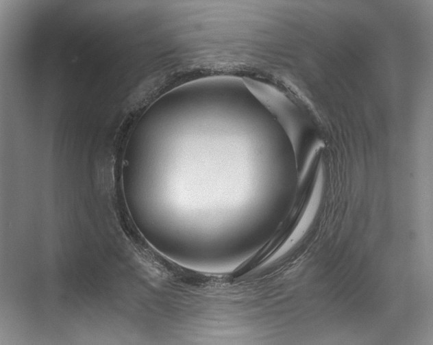 X0000071790685200607071456