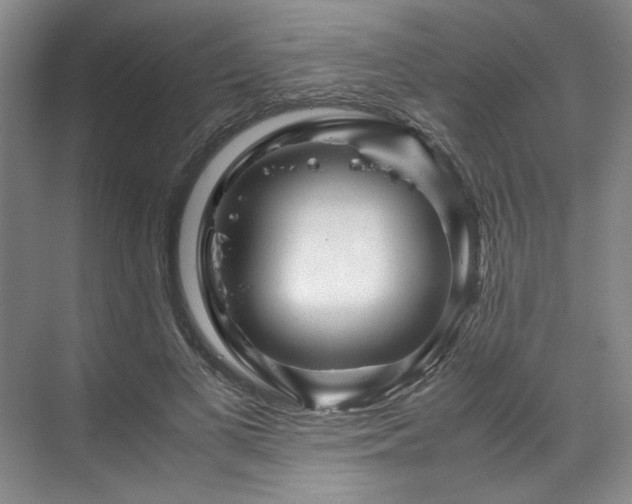 X0000071790693200607071456
