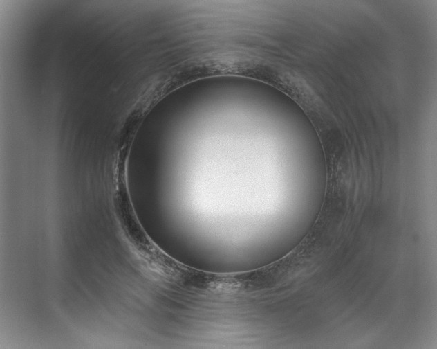 X0000071790694200607071456