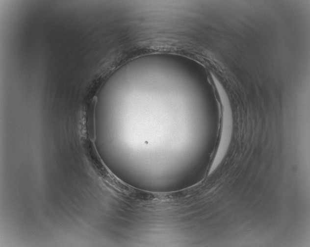 X0000071790696200607071456