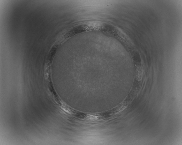 X0000071790701200607071456