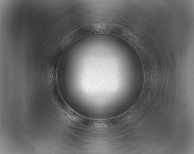 X0000071790702200607071456