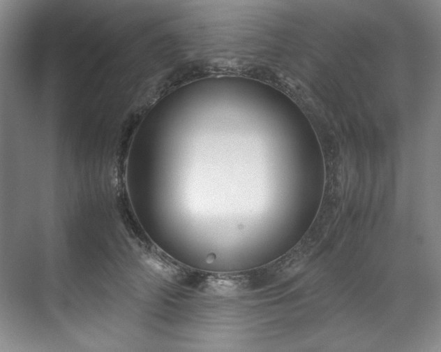 X0000071790706200607071456