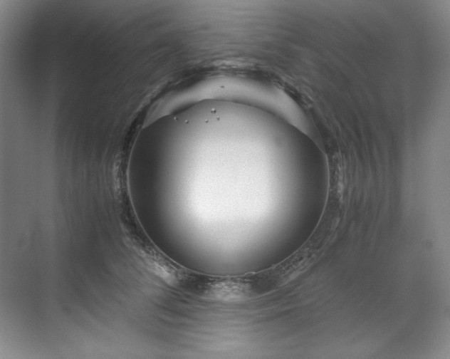 X0000071790708200607071456
