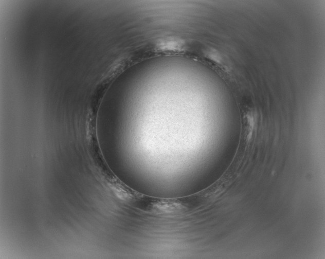 X0000071790712200607071456
