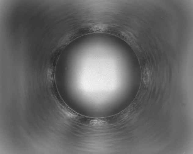 X0000071790714200607071455