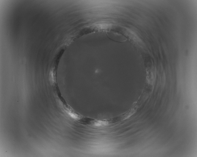 X0000071790718200607071455