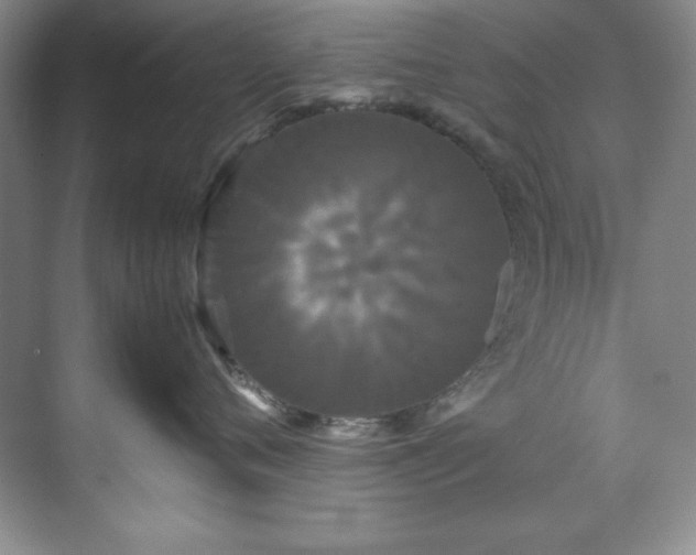 X0000071790720200607071455