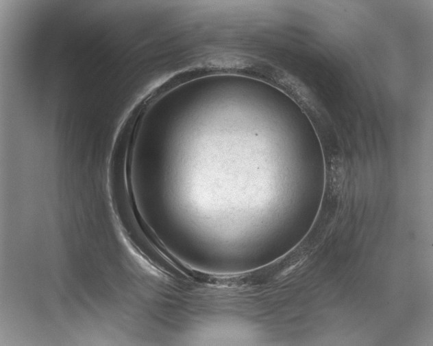 X0000071790726200607071455