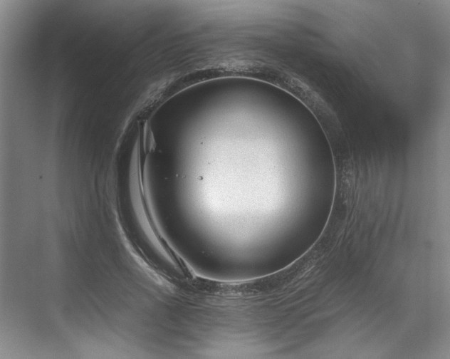 X0000071790734200607071455