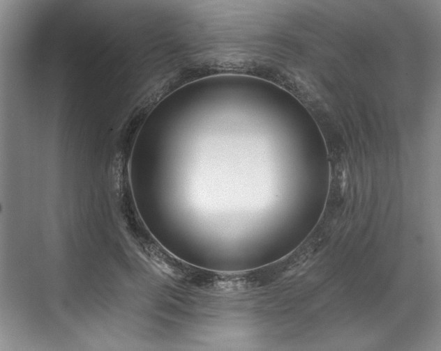 X0000071790744200607071455