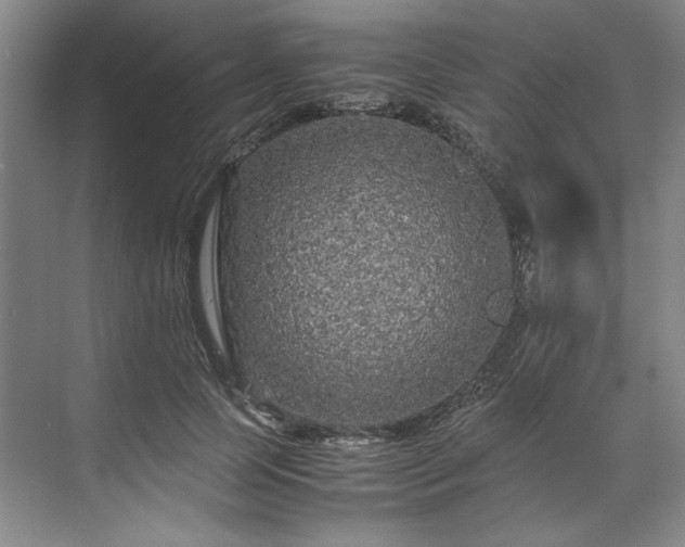 X0000071790745200607071455
