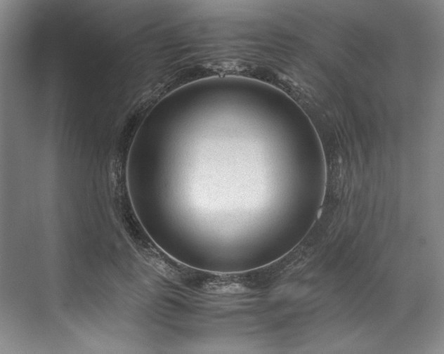 X0000071790747200607071455