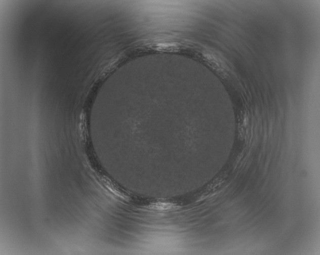 X0000071790748200607071455