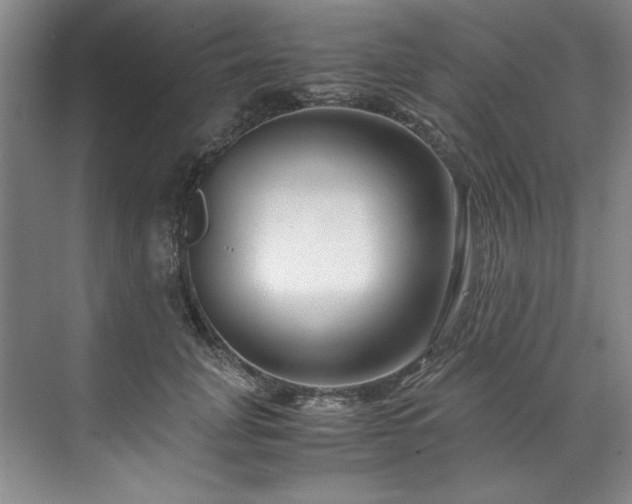 X0000071790751200607071455
