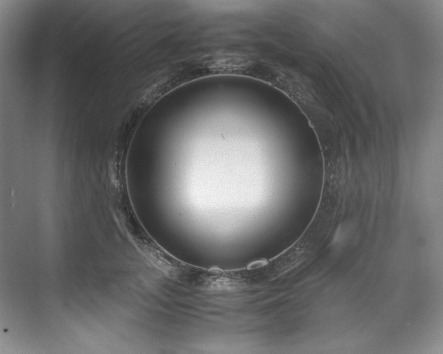 X0000071790755200607071455