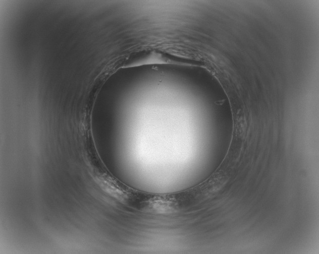 X0000071790756200607071455