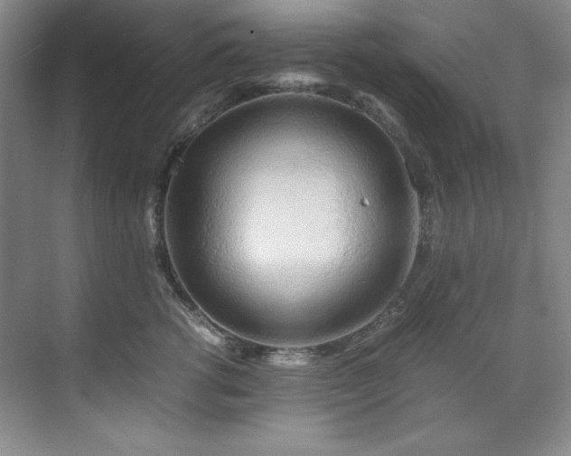 X0000071790762200607071455