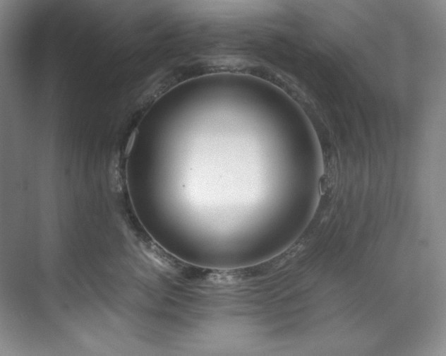 X0000071790764200607071455