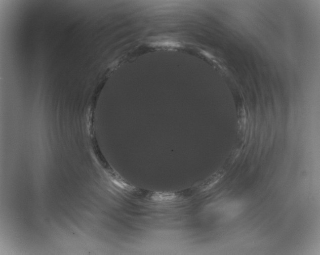 X0000071790767200607071455