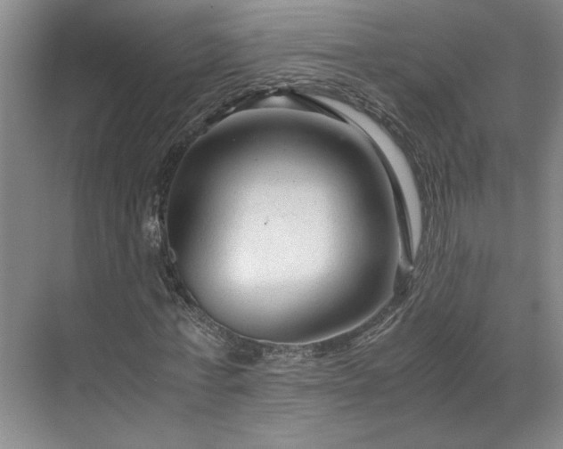 X0000071790771200607071455