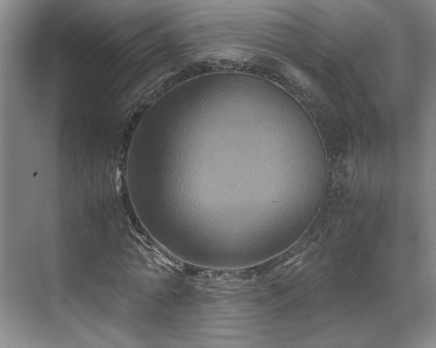 X0000071790774200607071454