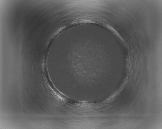 X0000071790785200607071454