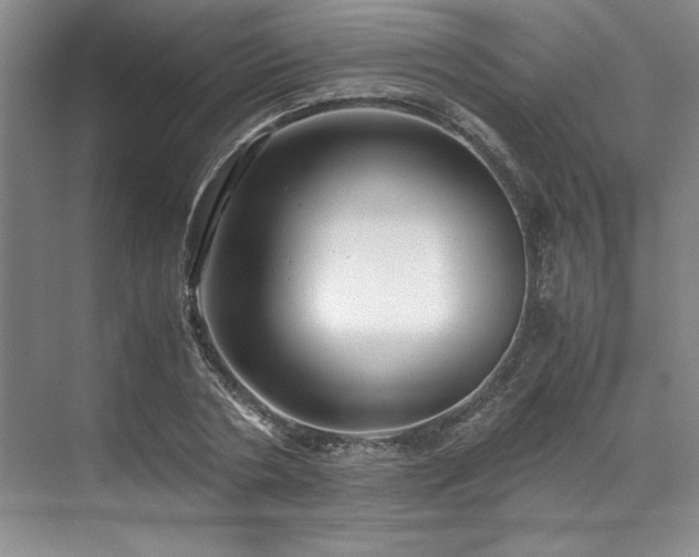 X0000071790786200607071454