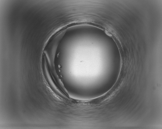 X0000071790789200607071454