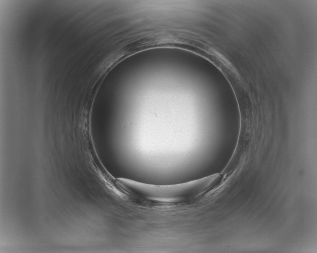 X0000071790793200607071454