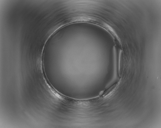 X0000071790802200607071454