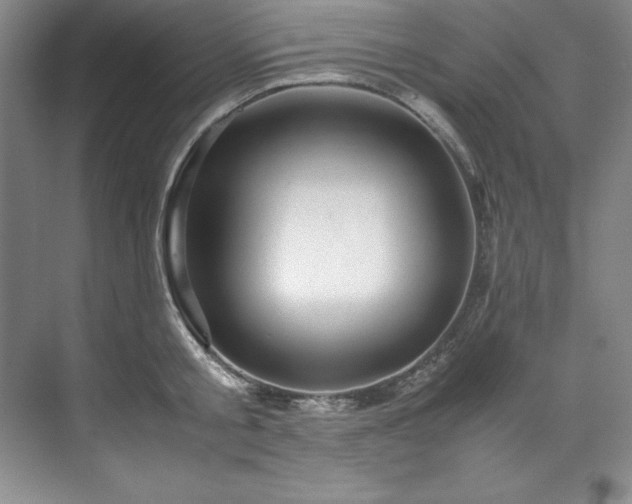 X0000071790805200607071454