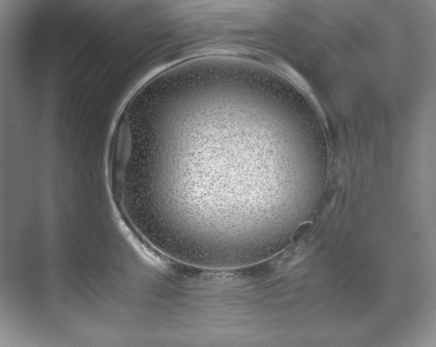 X0000071790811200607071454