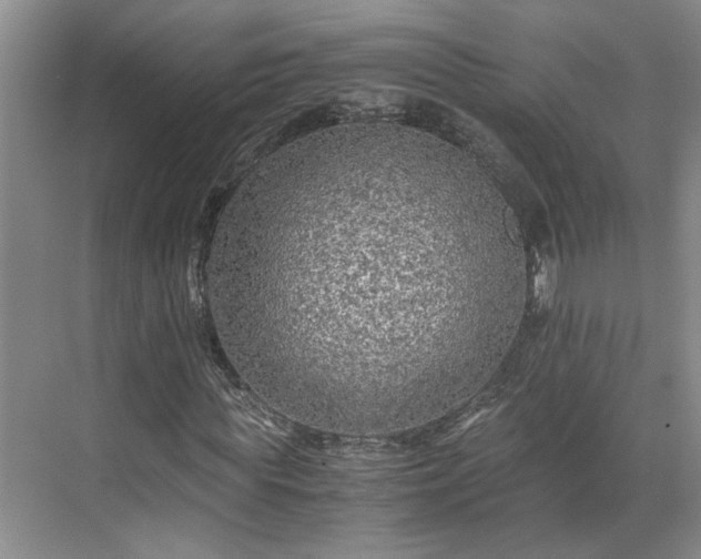 X0000071790819200607071453