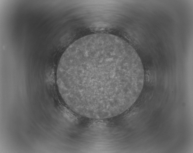 X0000071790820200607071453