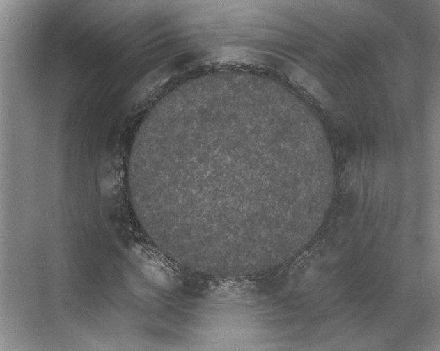 X0000071790824200607071453