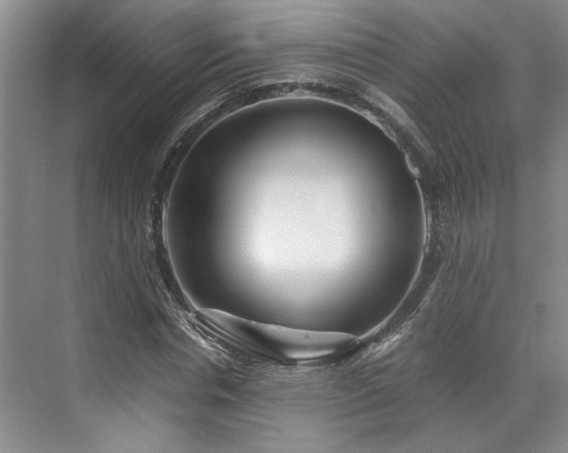 X0000071790826200607071453