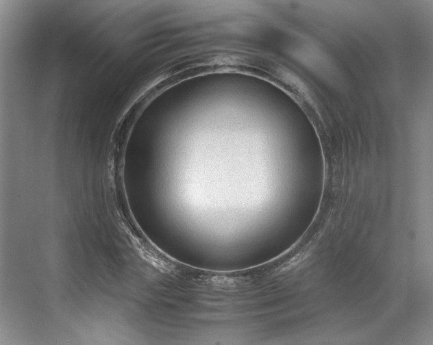 X0000071790827200607071453