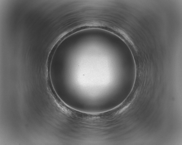 X0000071790837200607071453