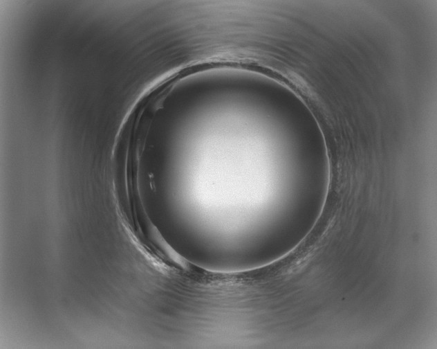 X0000071790838200607071453