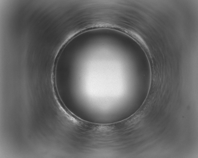 X0000071790847200607071453