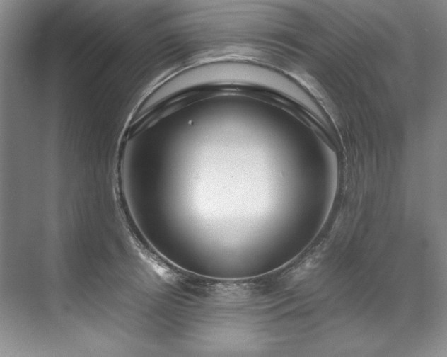 X0000071790850200607071454