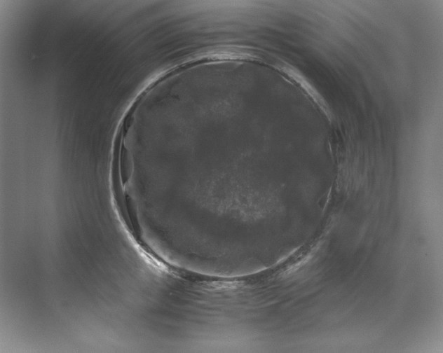 X0000071790853200607071454