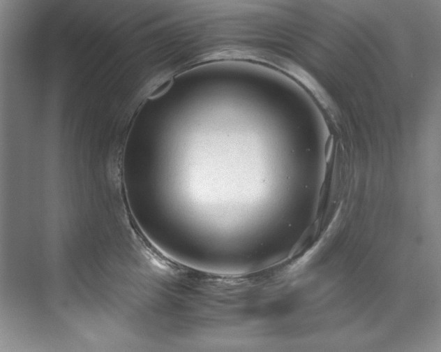 X0000071790857200607071454