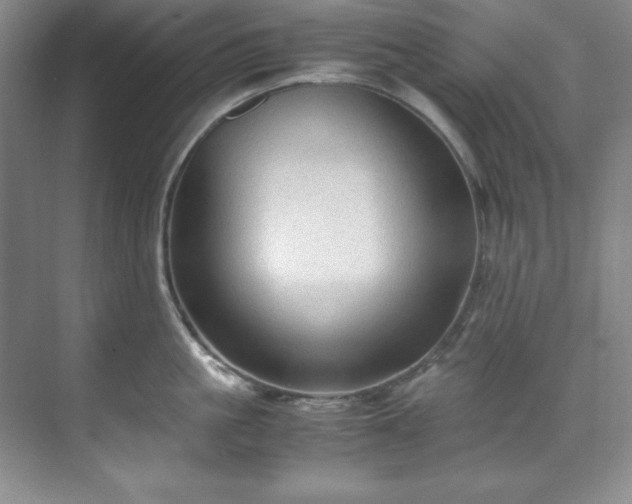 X0000071790861200607071454