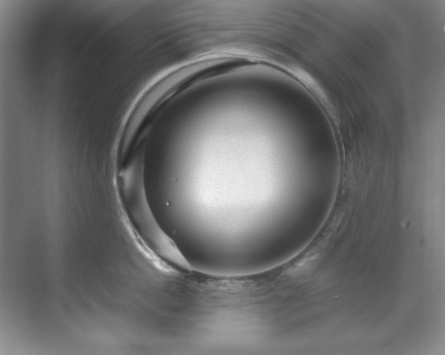X0000071790862200607071454