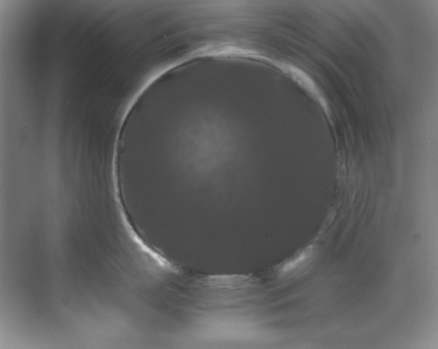 X0000071790863200607071454