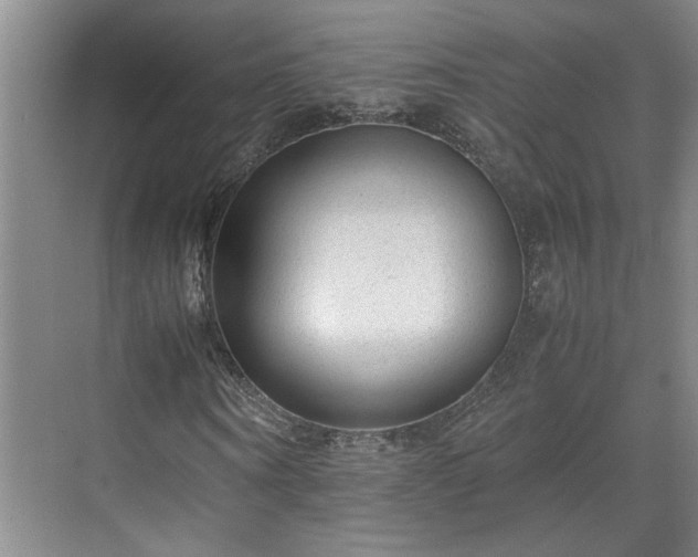 X0000071790866200607071453