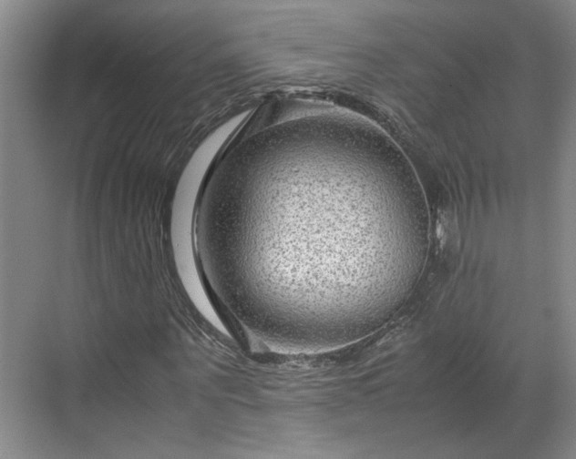 X0000071790867200607071453